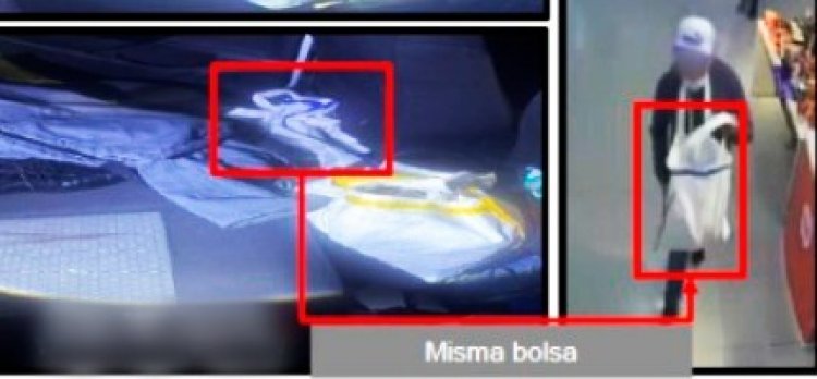 En operativo conjunto, dan golpe a grupo delictivo de robo