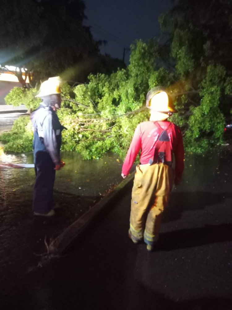 Derrumbe de rocas, alcantarillas botadas, inundaciones y más deja lluvia en la capital