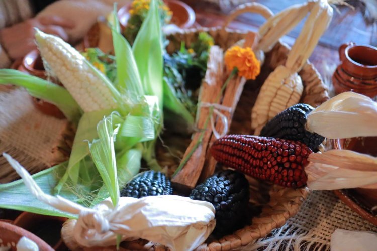 Honra gobierno de Morelos a productores del maíz nativo