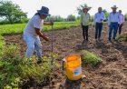 Entregan camino de saca  de cosecha en Zacatepec