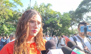 80 observaciones por aclarar, la extitular del Inst. de la mujer