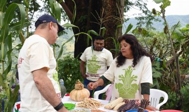 Participa CIByC en conservación de maíces nativos con comunidades