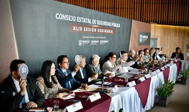 Mayor coordinación institucional  en materia de seguridad pública