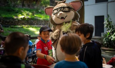 Invitan a la "Semana del Murciélago" para concientizar sobre su relevancia