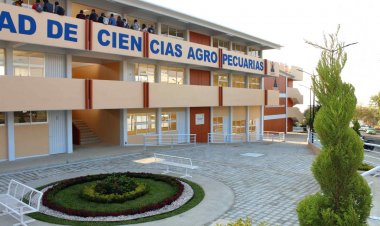 Impulsa la FCA calidad nutricional y  salud con la producción agropecuaria