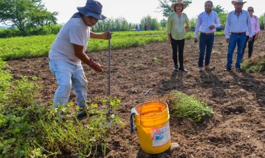 Entregan camino de saca  de cosecha en Zacatepec