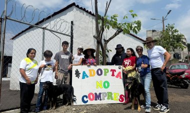 Inicia Cuernavaca nuevo capítulo  en protección de seres sintientes