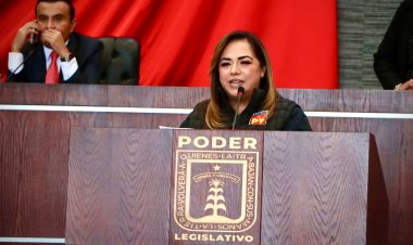 Proponen en Morelos protección legal  para mascotas en casos de divorcio