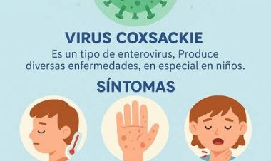 Insisten en el refuerzo de medidas contra coxsackie