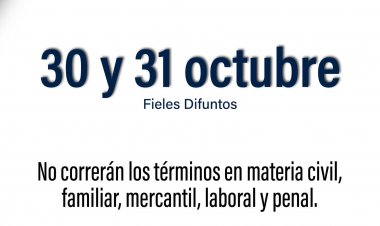 Megapuente de juzgadores; los abogados los reprueban