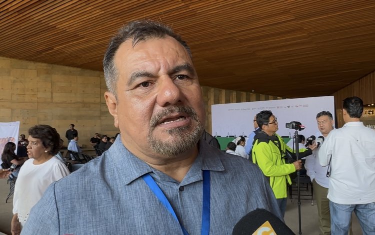 Llaman la atención por el inicio temprano en drogas