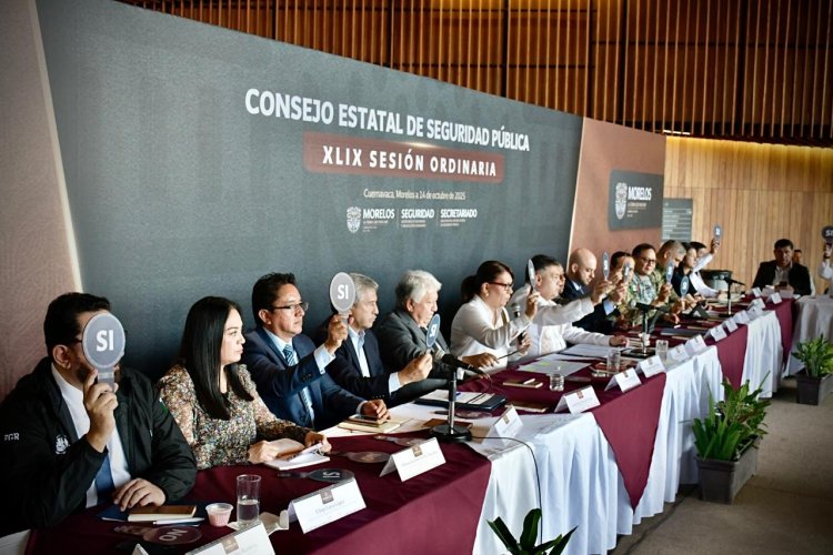 Mayor coordinación institucional  en materia de seguridad pública