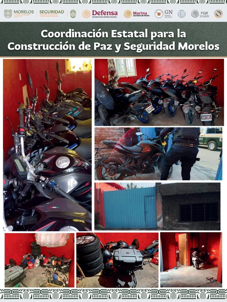 Recuperan 11 motocicletas con reporte de robo en Zapata