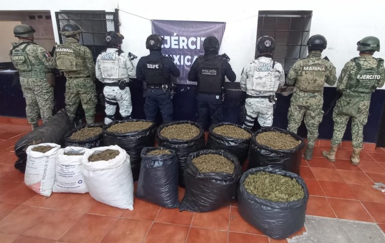 Aseguraron camioneta robada en  Edomex, cargada con marihuana