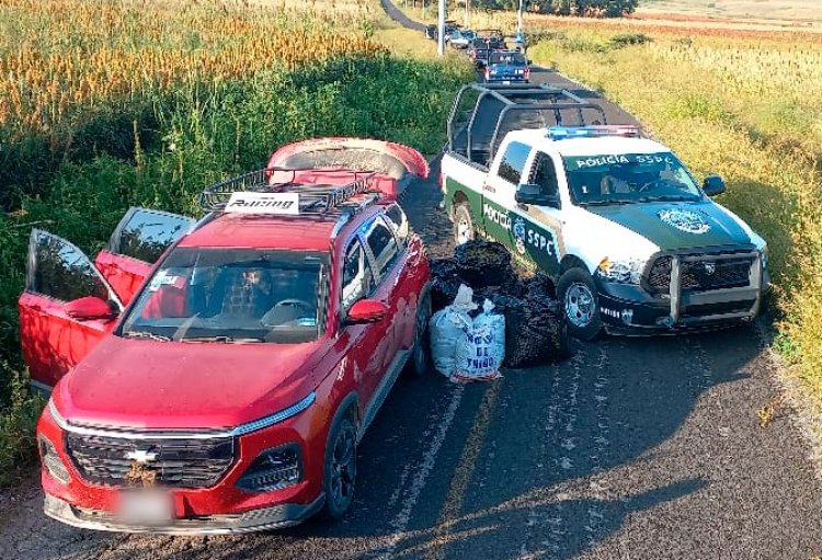 Aseguraron camioneta robada en  Edomex, cargada con marihuana