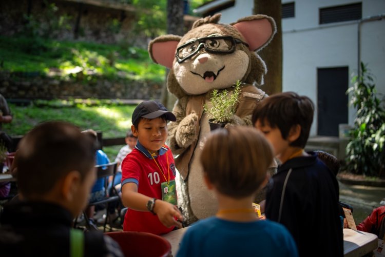 Invitan a la "Semana del Murciélago" para concientizar sobre su relevancia