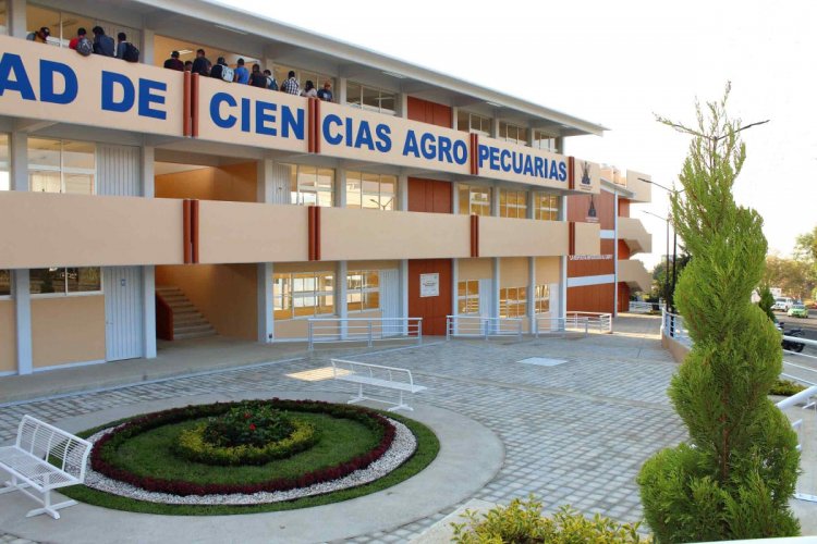 Impulsa la FCA calidad nutricional y  salud con la producción agropecuaria