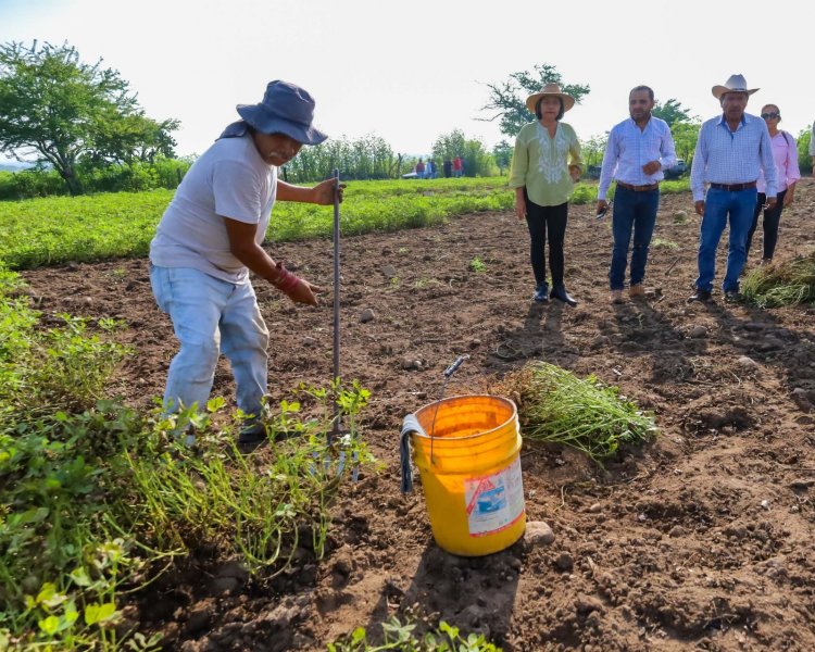 Entregan camino de saca  de cosecha en Zacatepec