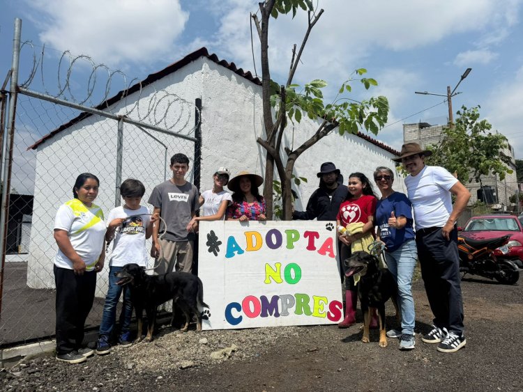 Inicia Cuernavaca nuevo capítulo  en protección de seres sintientes