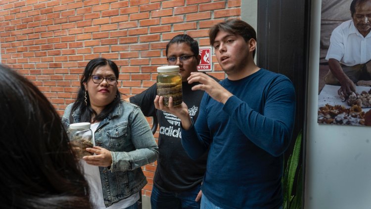 Con “Un día de pinta”, dan a conocer  a jóvenes trabajo de investigadores