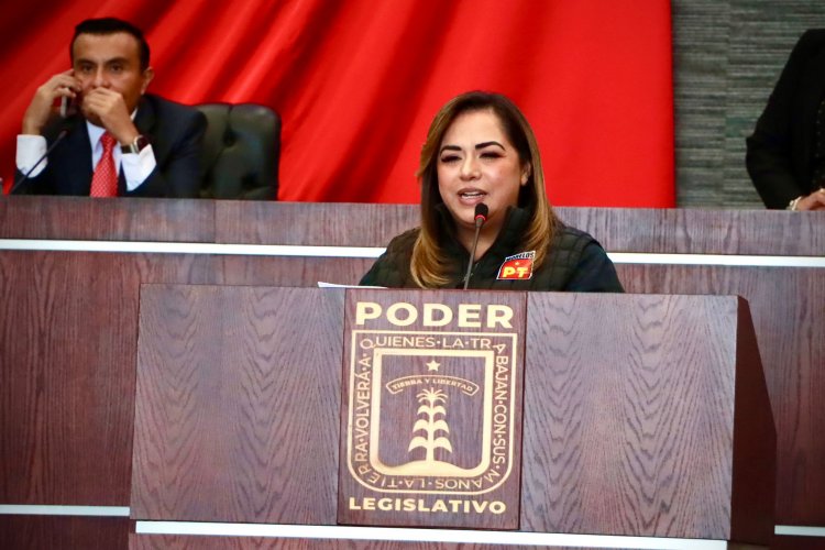 Proponen en Morelos protección legal  para mascotas en casos de divorcio