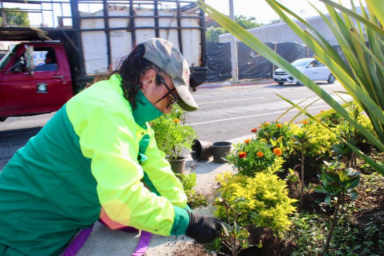 Flores del vivero municipal dan  color y tradición a Cuernavaca