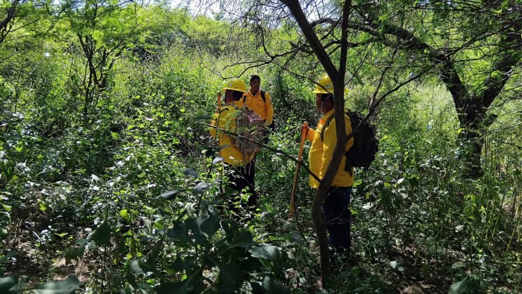 Forman brigada para el blindaje de Sierra de Huautla Vs. incendios