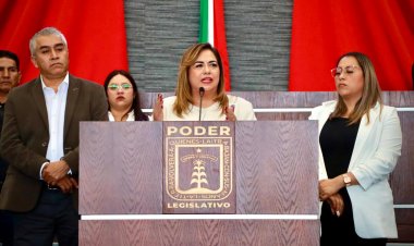 Proteger bosque afectado por incendios  en Tlalnepantla propone la Dip. Rodríguez