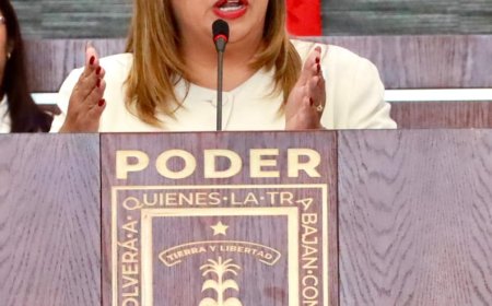 Reconocer jurídicamente a directores  titulares de obra: Dip. Tania Valentina