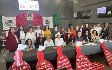 Por prohibición de maternidad  subrogada presionan colectivos