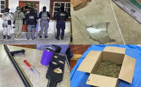 Con cateo, golpean a negocio  de estupefacientes en Yautepec