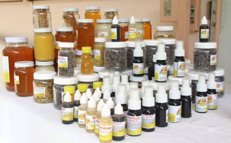 Impulsa el CIIHu la apicultura en   jornada sobre las abejas y sus retos