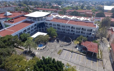 Desarrollan innovador tratamiento Vs. el cáncer en la Facultad de Farmacia