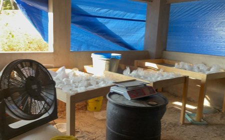 En Yautepec desarticulan segundo narcolaboratorio