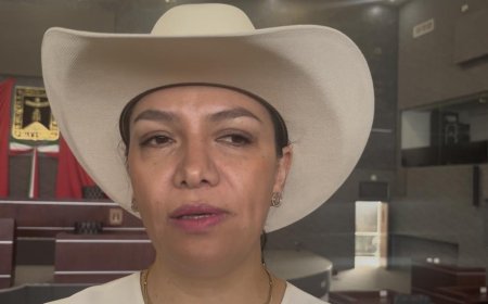 Provoca alarma en Morelos la  Ley de maternidad subrogada