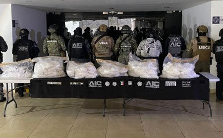 Esto es lo decomisado en golpe  al narcolaboratorio en Yautepec