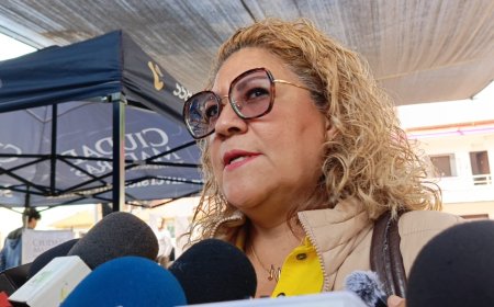 Ambulantes quitan 40%  de venta a locales en ALM