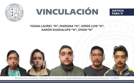 Hay bases para procesar a cinco presuntos plagiarios