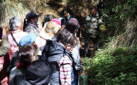 Se promueven los saberes  ancestrales de la herbolaria