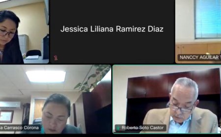 T. Colegiado da amparo, otra vez, Vs. fallo de TJA