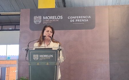 Subraya González Saravia las  bonanzas de Ley de Movilidad