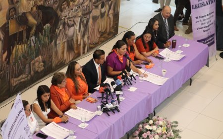 Deudores alimenticios no  ocuparán cargos públicos