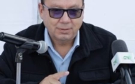 Detallan rescate arbóreo  en templo de Cuernavaca