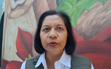 Un cierre de año agrario positivo prevé la Sedagro