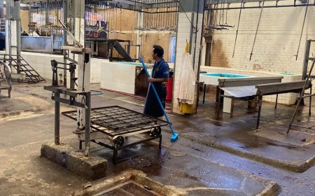 Rastro municipal trabaja con normalidad;  introductores, quienes se manifestaron ayer