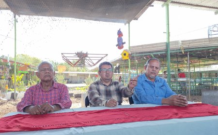 Se podrán pagar rutas  de manera electrónica