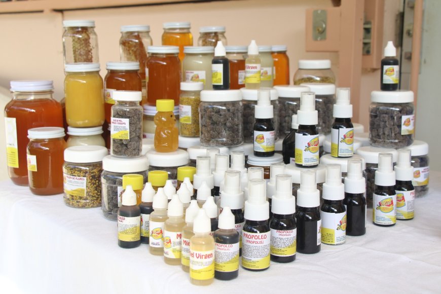 Impulsa el CIIHu la apicultura en   jornada sobre las abejas y sus retos