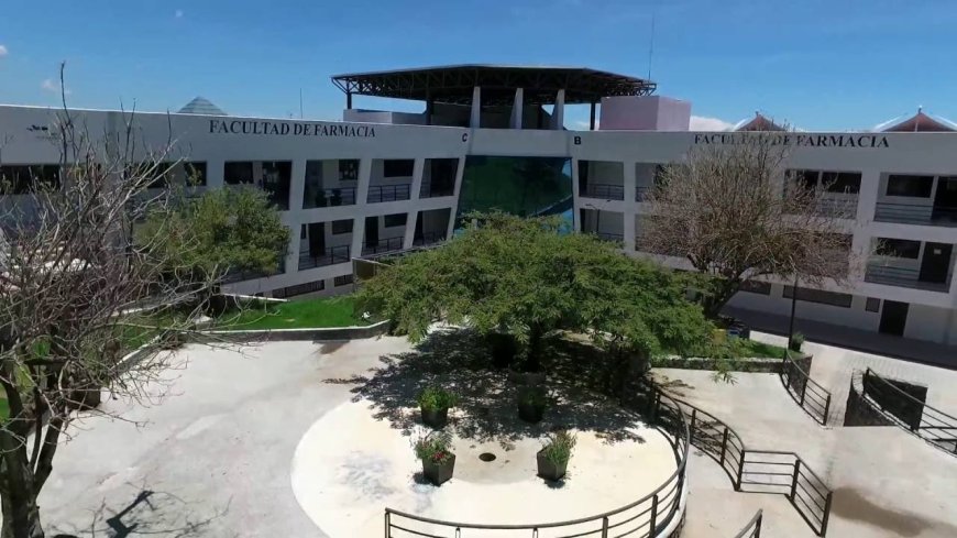 Desarrollan innovador tratamiento Vs. el cáncer en la Facultad de Farmacia