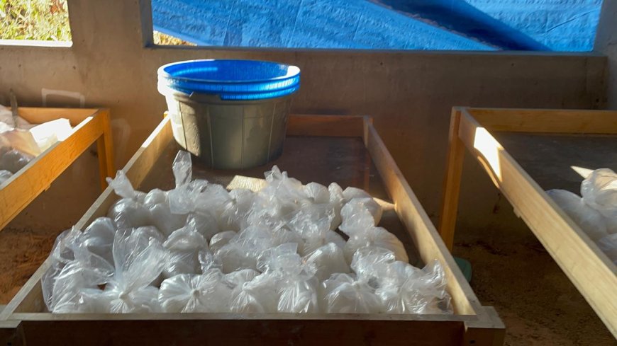 Esto es lo decomisado en golpe  al narcolaboratorio en Yautepec