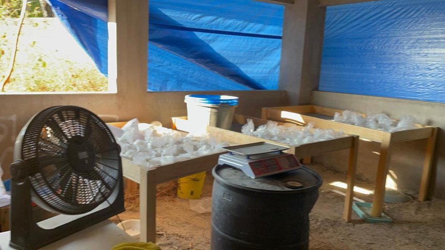 Esto es lo decomisado en golpe  al narcolaboratorio en Yautepec